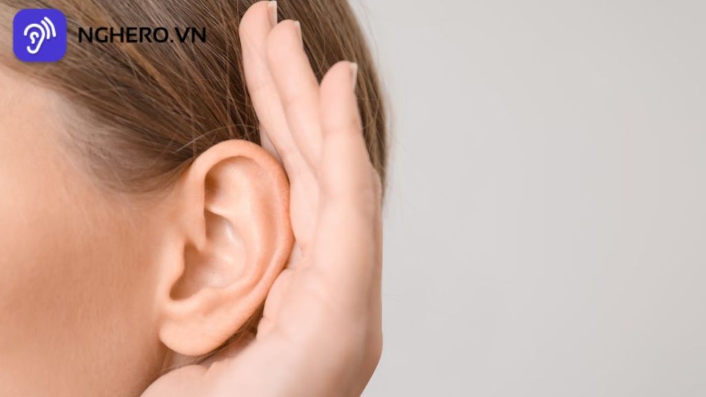 Các giải pháp thay thế máy trợ thính